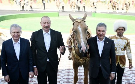 Berdiməhəmmədov İlham Əliyevə “Axaltəkə” atı hədiyyə etdi - FOTOLAR/YENİLƏNDİ