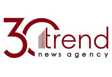 АМИ Trend успешно интегрирует в современные мировые СМИ - Новруз Аслан