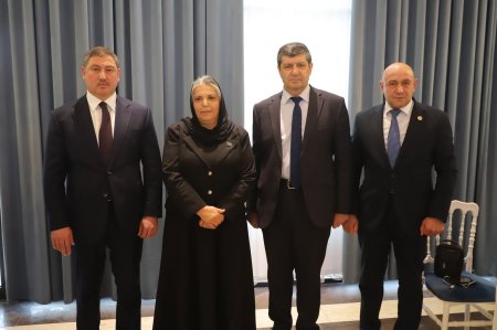 İş adamı Şəhid anasını təbrik etdi