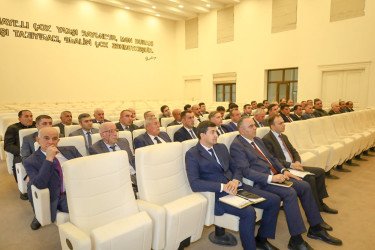 İsmayıllıda növbəti nümayəndə günü keçirilib