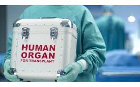 Azərbaycanda donor olmaq istəyənlərin sayında ŞOK ARTIM