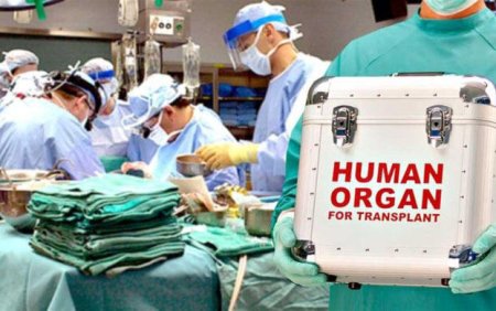 Azərbaycanda orqan nəqli üçün xərc nə qədərdir?