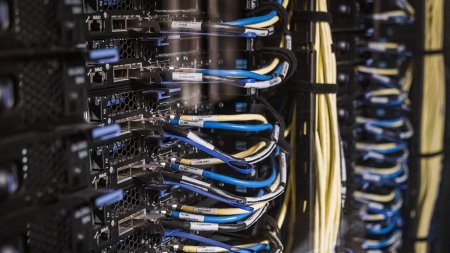 Süni intellektlə nəzakətli danışmaq enerji istehlakını artırır