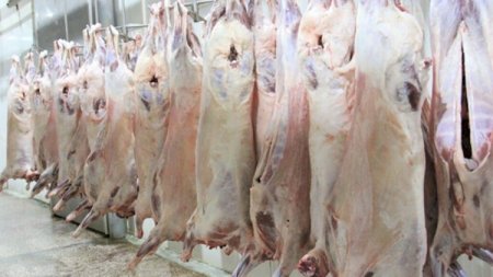 Monqolustandan Azərbaycana 900 ton ət idxal edilib - Rəsmi