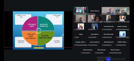 Professor İbrahim Cəfərovun təqdimatında dənli taxıl bitkilərinin xəstəliklərinə dair təlim keçirilib