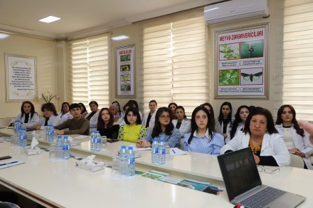 Professor İbrahim Cəfərovun təqdimatında dənli taxıl bitkilərinin xəstəliklərinə dair təlim keçirilib