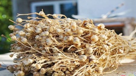 Nazirlikdən üzərliklə bağlı xəbərdarlıq: Kiçik hissəcikləri belə...