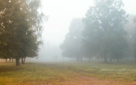 Çiskinli yağış yağacaq - Proqnoz