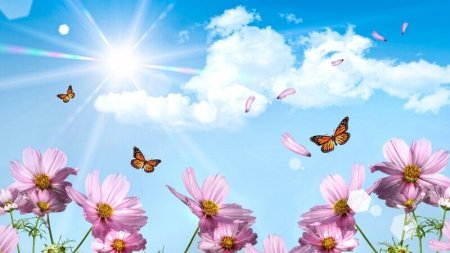 Yaz fəslinin Azərbaycana daxilolma vaxtı açıqlandı