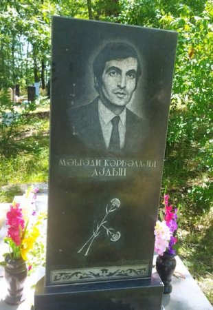 O KƏNDDƏ BİR AYDIN SƏLİMZADƏ VAR İDİ... - FOTOLAR