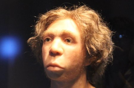 Niyə məhz Neandertal kişilər və Homo sapiens qadınlar?