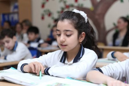 “Qaraca Çoban” mövzusunda nümunəvi dərs təqdim olunmuşdur