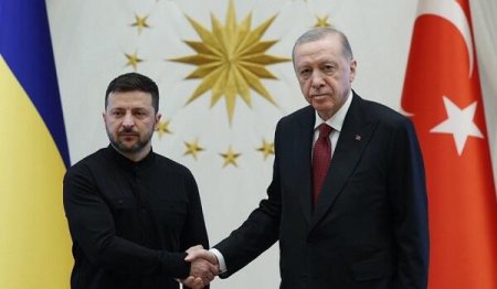 Ərdoğanla Zelenski arasında görüş başladı