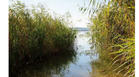 Azərbaycanda 9 yaşlı uşaq faciəvi şəkildə öldü