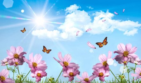 Bu gün 25 dərəcə isti gözlənilir - PROQNOZ