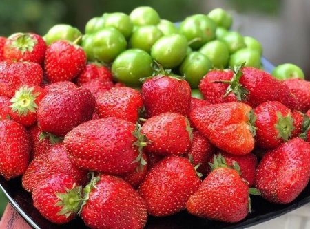 Çiyələk və alça bu il baha ola bilər - Səbəb