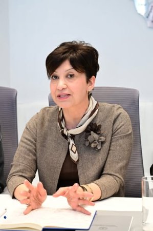 Bu gün mədəniyyət naziri Adil Kərimlinin iştirakı ilə keçirilən müzakirədə sənət tənqidinin əsas problemləri və inkişaf istiqamətləri nəzərdən keçirilib