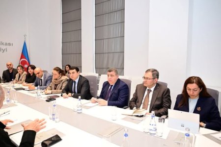 Bu gün mədəniyyət naziri Adil Kərimlinin iştirakı ilə keçirilən müzakirədə sənət tənqidinin əsas problemləri və inkişaf istiqamətləri nəzərdən keçirilib