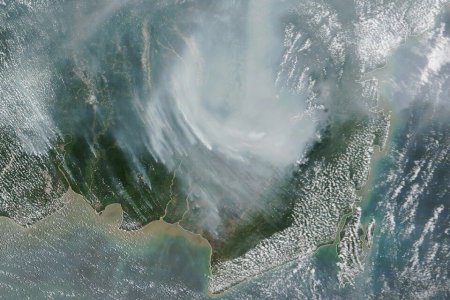 "El-Nino" özünü göstərdi: Rekord isti və quraqlıq təhlükəsi artır