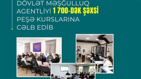 Dövlət Məşğulluq Agentliyi 1700-dək şəxsi peşə kurslarına cəlb edib